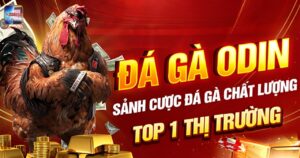odin đá gà