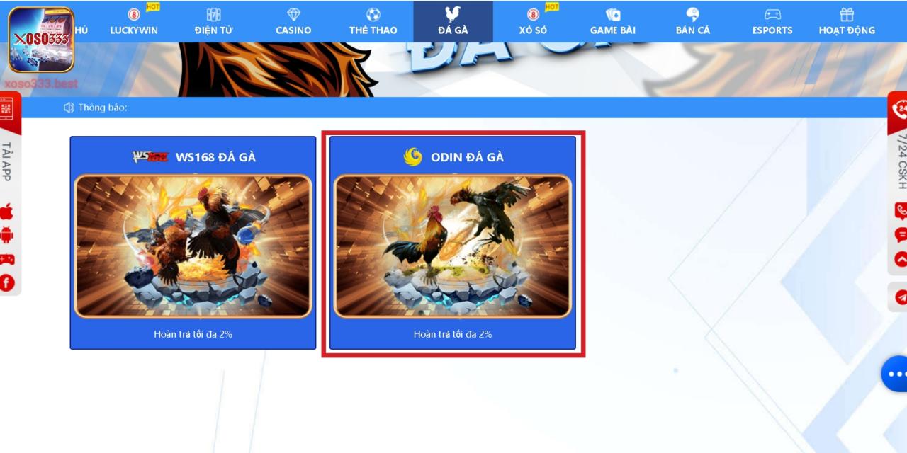 Tham gia cá cược với Odin Đá Gà cực nhanh chóng