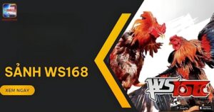 WS168 đá gà